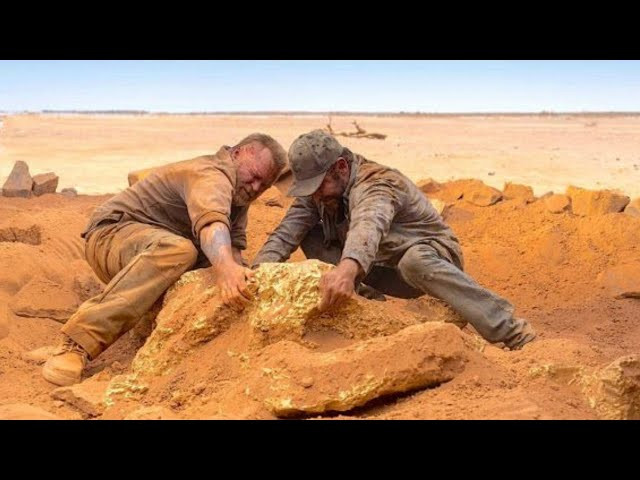 Zlato, igrani film, nedjelja u 23:20